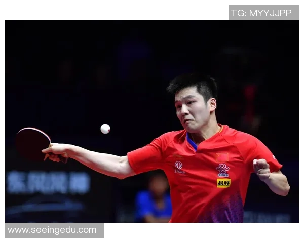 深圳乒乓球队总决赛表现分析：个人能力与团队协作的完美结合