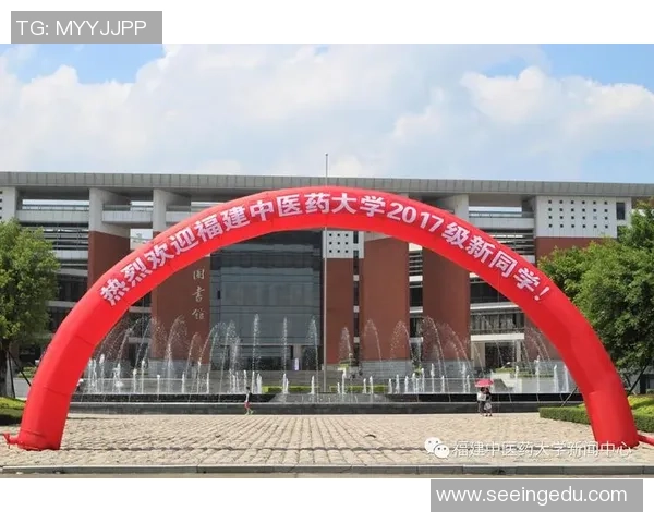 上海羽毛球队的拼搏历程与荣耀时刻全景回顾