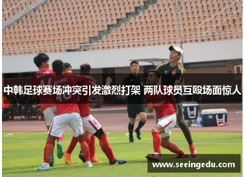 中韩足球赛场冲突引发激烈打架 两队球员互殴场面惊人