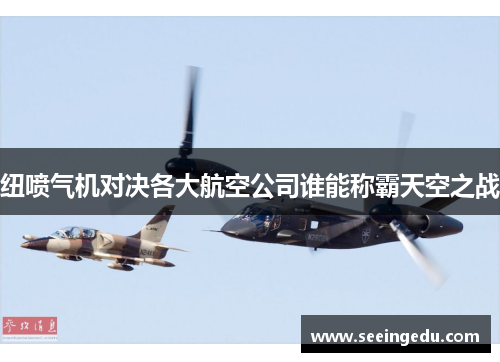 纽喷气机对决各大航空公司谁能称霸天空之战