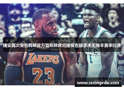 锡安再次受伤鹈鹕官方宣布胖虎将接受右膝手术无缘本赛季比赛
